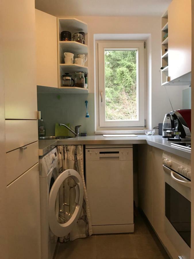 Apartment Gisi Ίνσμπρουκ Εξωτερικό φωτογραφία